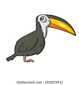 Toucan on white background Cute Cartoon animal  Vector illustration