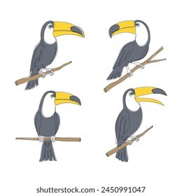 Toucan one Continuous line drawing icon set. Line art of toucan bird. Toucan icon minimalist pack. Vector illustration