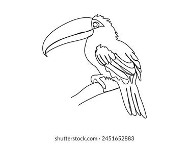 Toucan, one line drawing vector illustration.