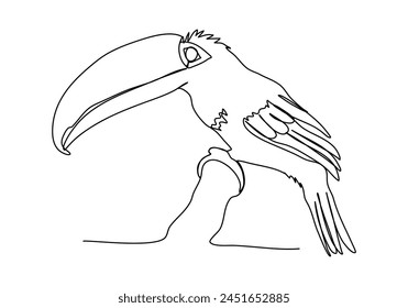 Toucan, Ilustración vectorial de dibujo de una línea.