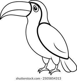 Toucan outline or line art or sketch silhouette vector illustration with smooth lines white background.