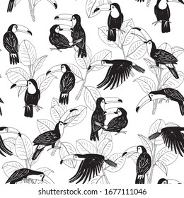 Toucan parrot bird with ficus palm leaves seamless vector hand drawn line black and white pattern