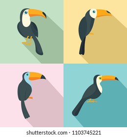 Toucan parrot bird icons set. Flat illustration of 4 toucan parrot bird vector icons for web