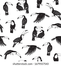 Pájaro de loro túcido a mano sin fisuras