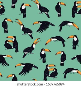 Toucan parrot bird seamless vector hand drawn pattern