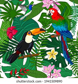 toucan parrot hummingbird tropical background