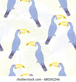 Toucan pattern, vector, illustration