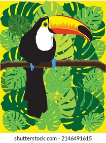 toucan perched on a tree branch in the Amazon