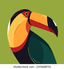 Toucan portrait colorful vector illustration, poster, print.