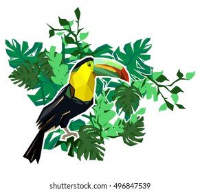 toucan print, print illustration, pattern print abstract bird, tropical bird vector. Beautiful print on a T-shirt tropical theme. Design of a tropical bird. toucan vector