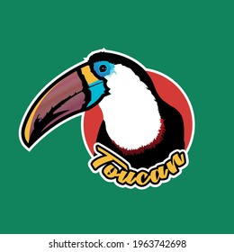Toucan Ramphasidae Grey breasted Ramphasidae  Tucán Ave Bird