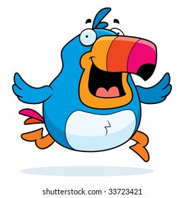 Toucan Running