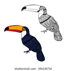 Toucan. Set of  birds  isolated on white background. Hand drawn vector illustration, sketch. Elements for design.