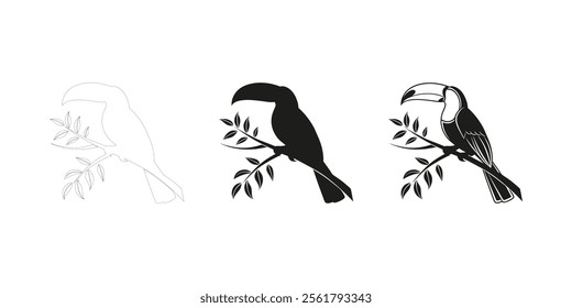 Toucan Silhouette and Line Art Illustration for Tropical Theme Design