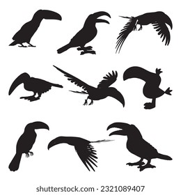 toucan silhouette set collection isolated black on white background vector illustration