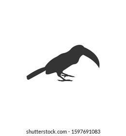 Toucan silhouette vector on a white background