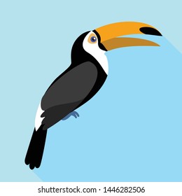 Toucan singing icon. Flat illustration of toucan singing vector icon for web design