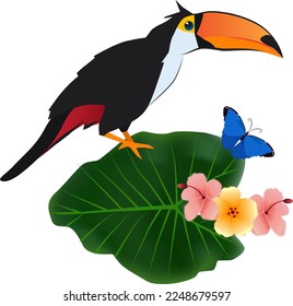 Toucan sit on tropical plant. Exotic bird in nature