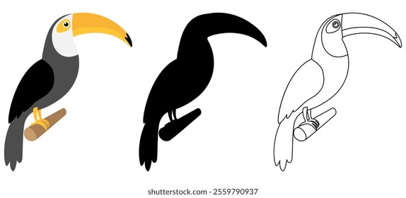 Toucan sitting on branch collection. Three various birds style set. Vector illustration isolated on white.