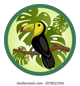 Toucan sitting on a branch. Toucan and exotic leaves. Monstera plant leaves. Toucan vector illustration in round frame isolated on white. Tropical bird.