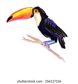 Toucan Sitting On A Branch, Hand drawn Illustration.