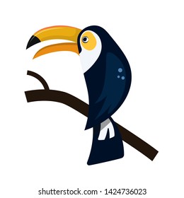 Toucan sitting on a branch, isolated on a white background. Vector illustration.