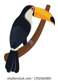 Toucan sitting on branch. Tropical bird in cartoon style.