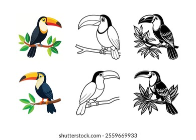 Toucan sitting on a branch on white background