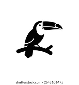 Toucan Sitting on Curved Limb in Tropical Forest