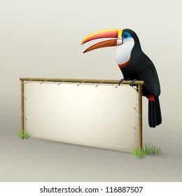 Toucan Sitting on Natural Advertising Panel made from Wood and Leather