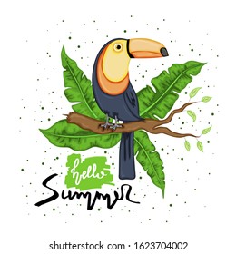 Toucan sitting on a tree branch. Summer collection. Cartoon style. Vector illustration