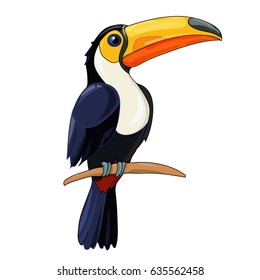 Toucan sitting on tree branch. Tropical birds. 