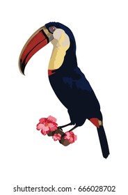 Toucan sitting on tree branch with flowers isolated on white background.