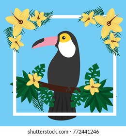 toucan sitting on tree branch flower tropical bird