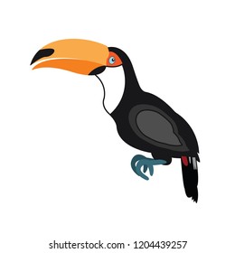 toucan symbol colored on the white background single