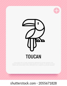 Toucan thin line icon. Modern vector illustration of exotic bird.