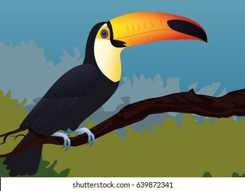 toucan toco bird