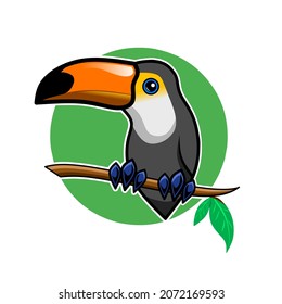 toucan toco bird , mascot vector illustration
