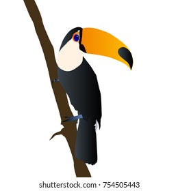 Toucan Toco bird sitting on tree on white background.Also known as the  toucan Toco or toucan.Vector illustration.EPS10