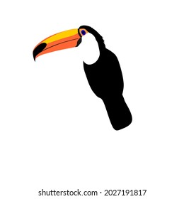 Toucan toco is one of Neotropican birds that can be found in tropical forest of America