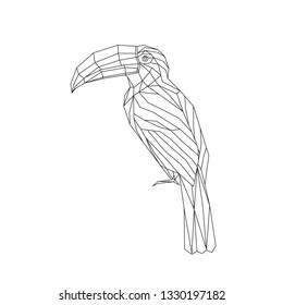 Toucan triangle polygonal model