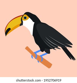 toucan. tropical bird. toucan beak on a pink background. stock vector illustration.
