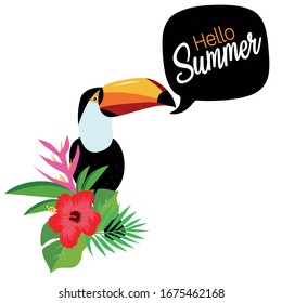 Toucan, Tropical Bird, Hello Summer, Art Illustration