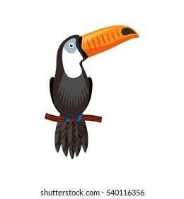 toucan tropical bird icon vector illustration design