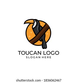 toucan tropical bird logo icon vector template in colorful flat line outline style illustration
