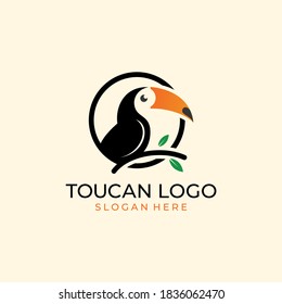 toucan tropical bird logo icon vector template in colorful flat line outline style illustration
