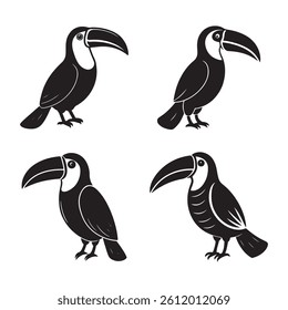 Toucan Tropical Bird On White Isolated Background