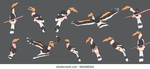 Juego de pájaros tropicales. Conjunto plano de un vector de pájaros tropicales con fondo negro.