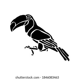 Toucan tropical bird silhouette, feathered flying animal with large beak, exotic pet logo vector illustration for design