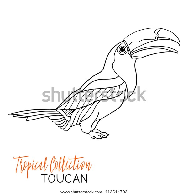 Toucan Tropical Bird Vector Illustration Coloring Stock Vector Royalty Free 413514703